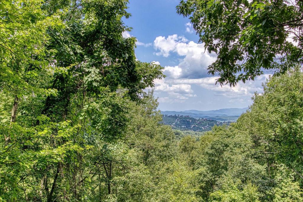 Serenity Heights, Amazing Views, Hot Tub Pool Access, 1089 Free Tickets Each Paid Day, Dollywood Gatlinburg Esterno foto