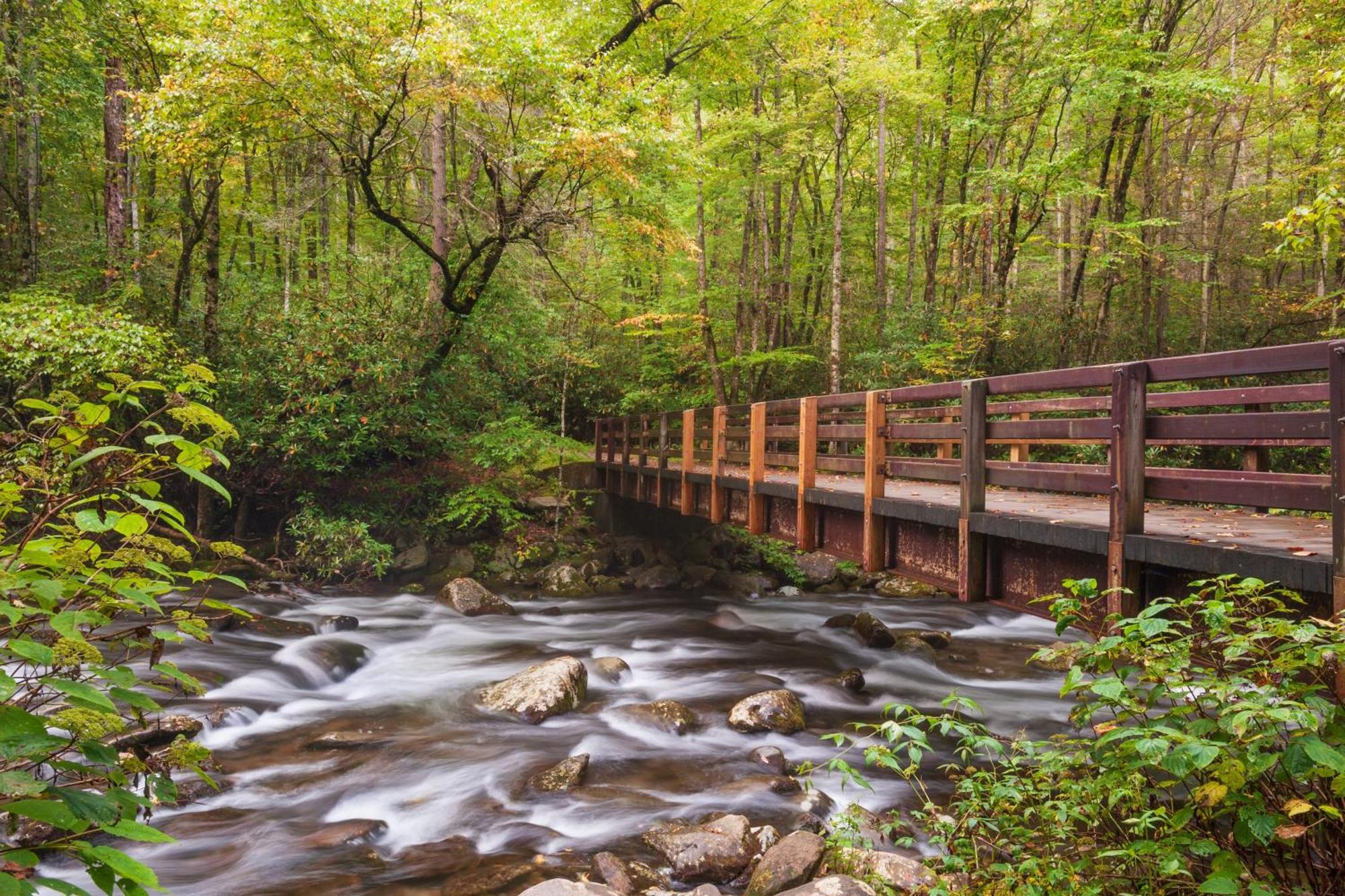 Serenity Heights, Amazing Views, Hot Tub Pool Access, 1089 Free Tickets Each Paid Day, Dollywood Gatlinburg Esterno foto